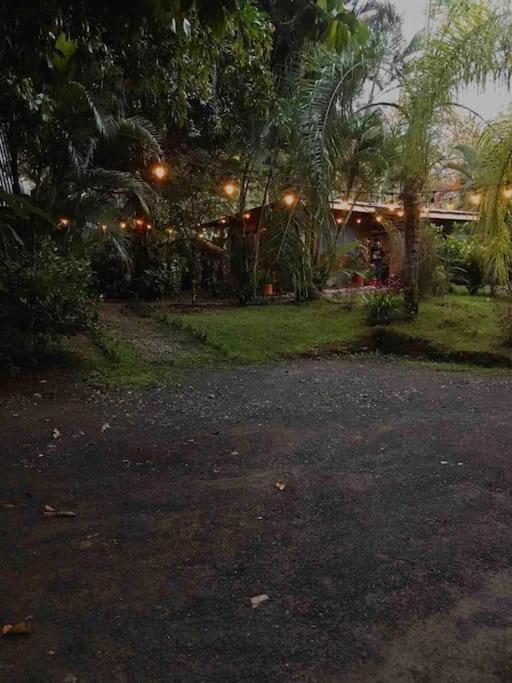 Casa Sol Apartment Puerto Jimenez Exterior photo