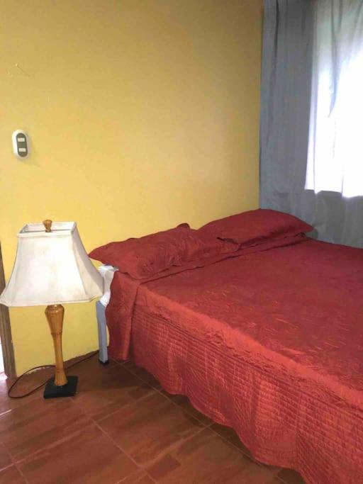 Casa Sol Apartment Puerto Jimenez Exterior photo